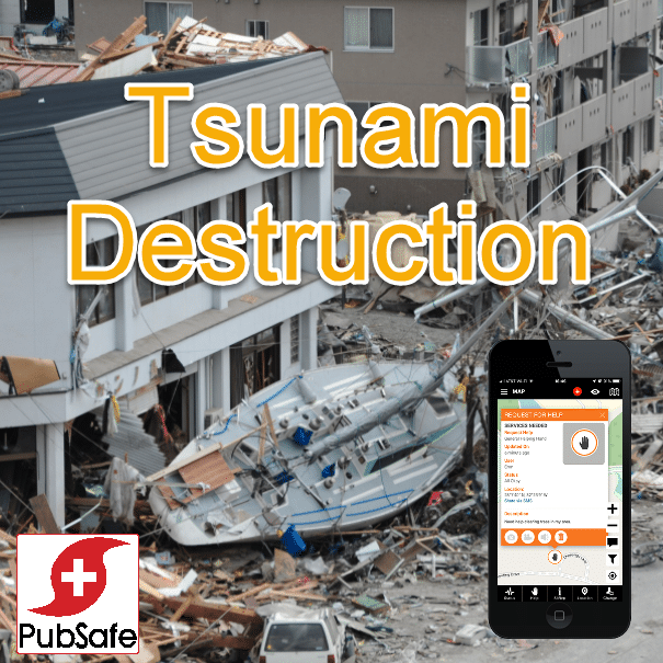 Tsunami Damage