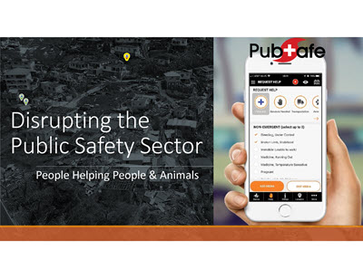PubSafe Public Safey Summary