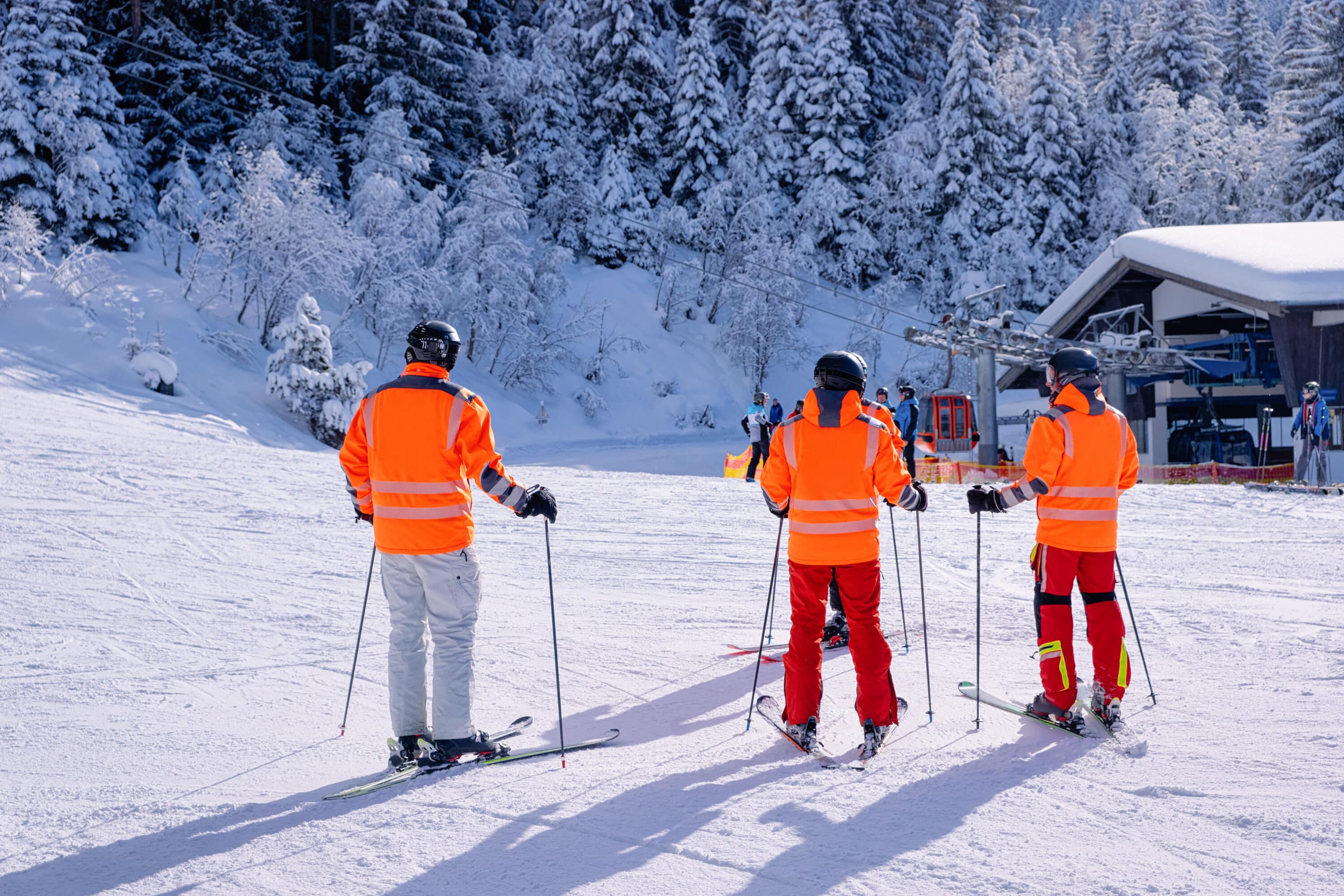 Winter Rescue Winter Outdoor Emergency Preparedness For Skiing, Avalanches & Winter ...