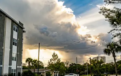 Catastrophic Impact: A Category 5 Hurricane Strikes Tampa Bay