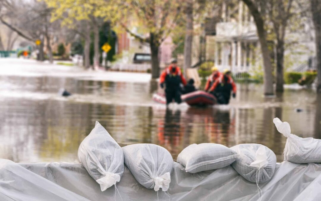 Flood Rescue and Recovery on PubSafe