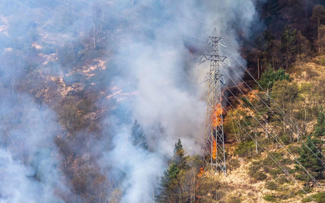 Wildfire. Bergen, Norway.